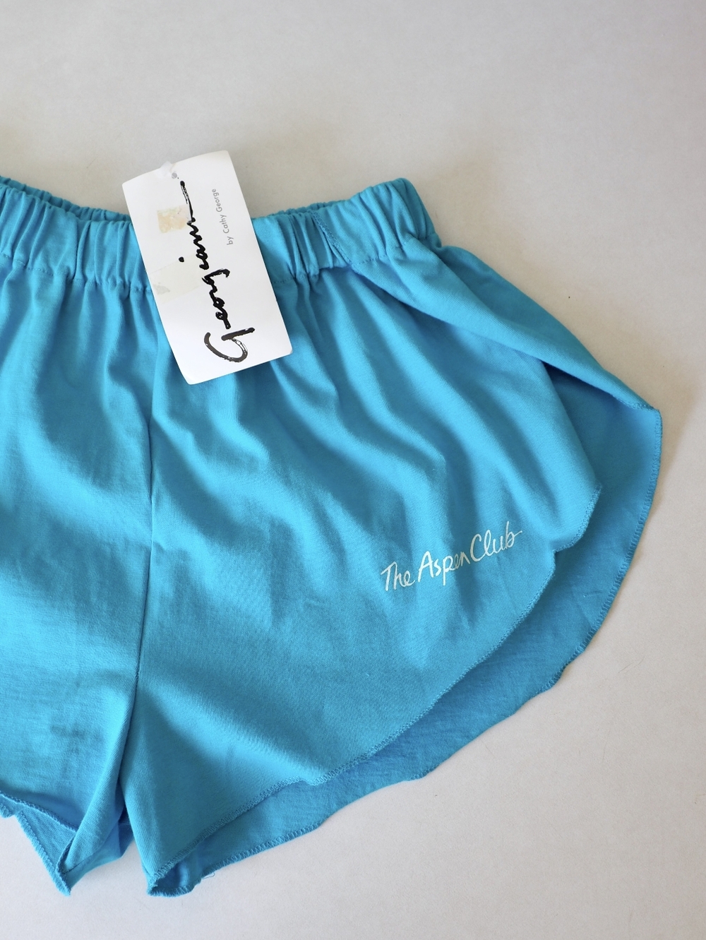 Vintage Dolphin Hem Shorts Large 80s Aerobics Exercise High Cut Sides Aspen Club